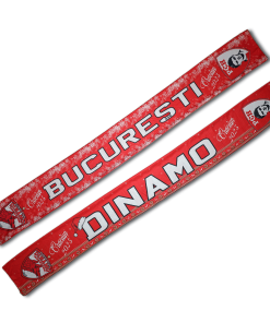 ESARFA DDB CRACIUN 2023