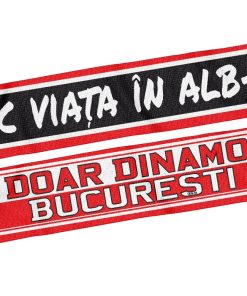 ESARFA "TRAIESC VIATA....: