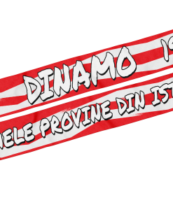 EȘARFA "NUMELE PROVINE DIN....."