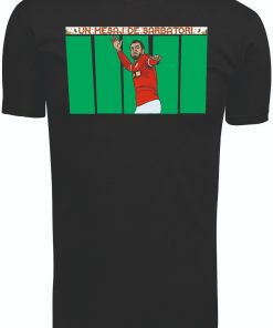 Alternative view of TRICOU UN MESAJ DE SARBATORI