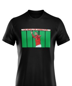 TRICOU UN MESAJ DE SARBATORI