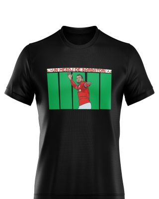 TRICOU UN MESAJ DE SARBATORI